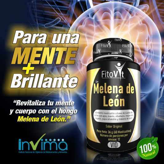 Melena de León para tu mente: Energía, Enfoque y Memoria